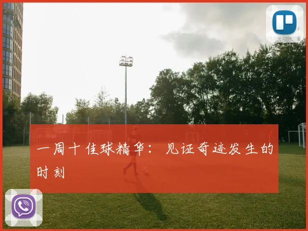 一周十佳球精华:见证奇迹发生的时刻