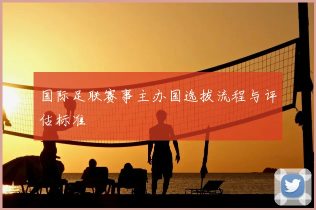 国际足联赛事主办国选拔流程与评估标准