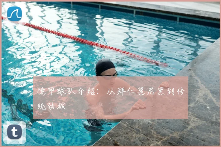 德甲球队介绍：从拜仁慕尼黑到传统劲旅