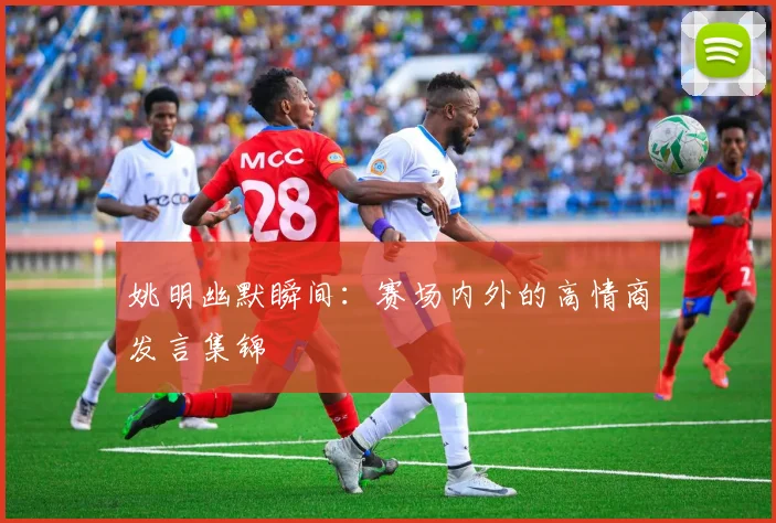姚明幽默瞬间:赛场内外的高情商发言集锦