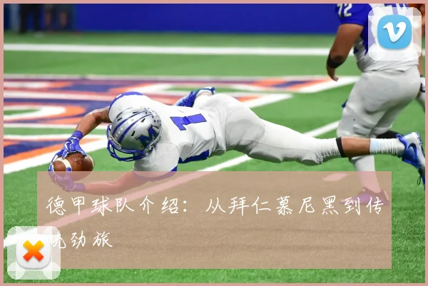德甲球队介绍:从拜仁慕尼黑到传统劲旅